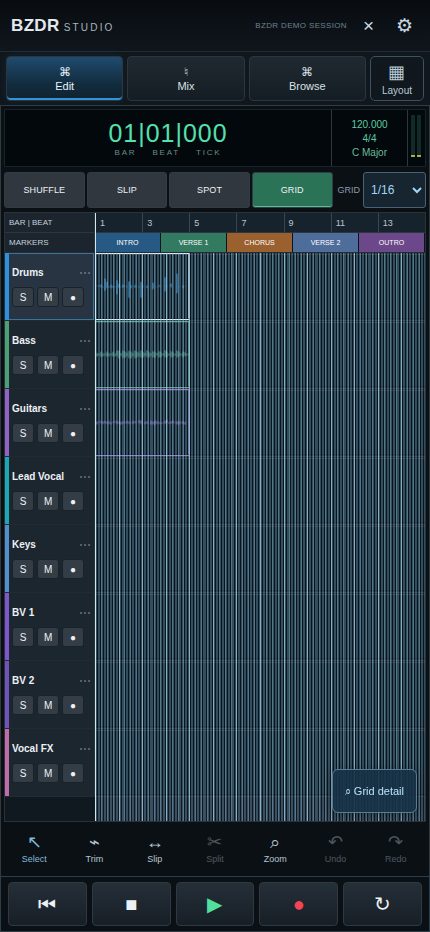 Real BZDR Studio mobile editing interface